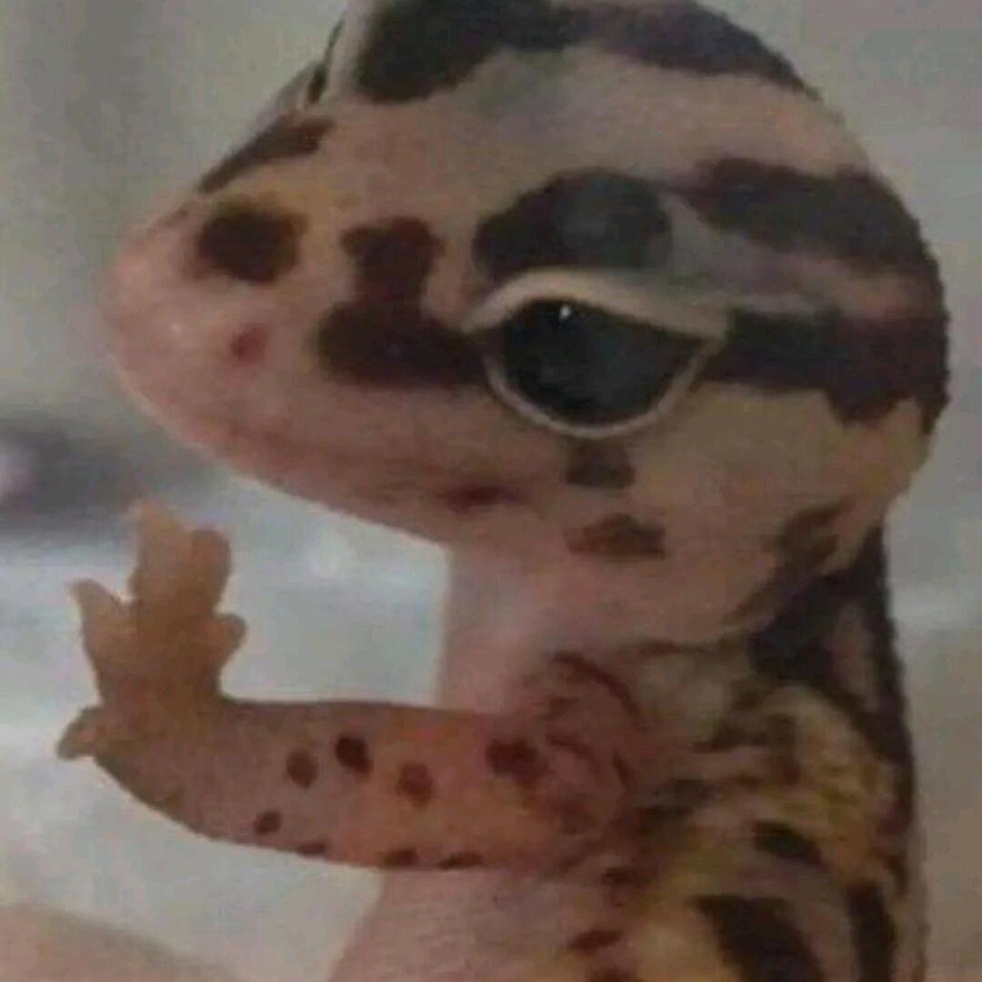 咚咚咚叮