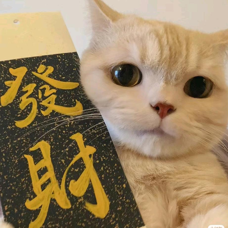 短剧推荐官