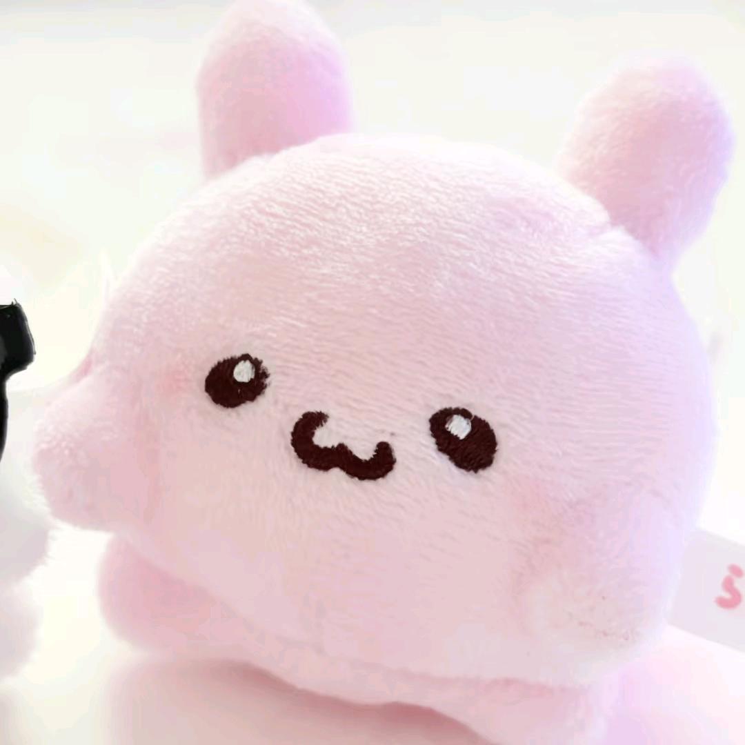 小熊厨