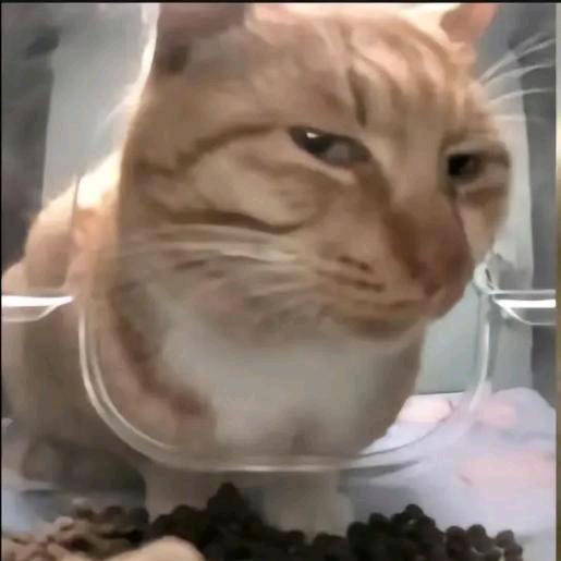 涛
