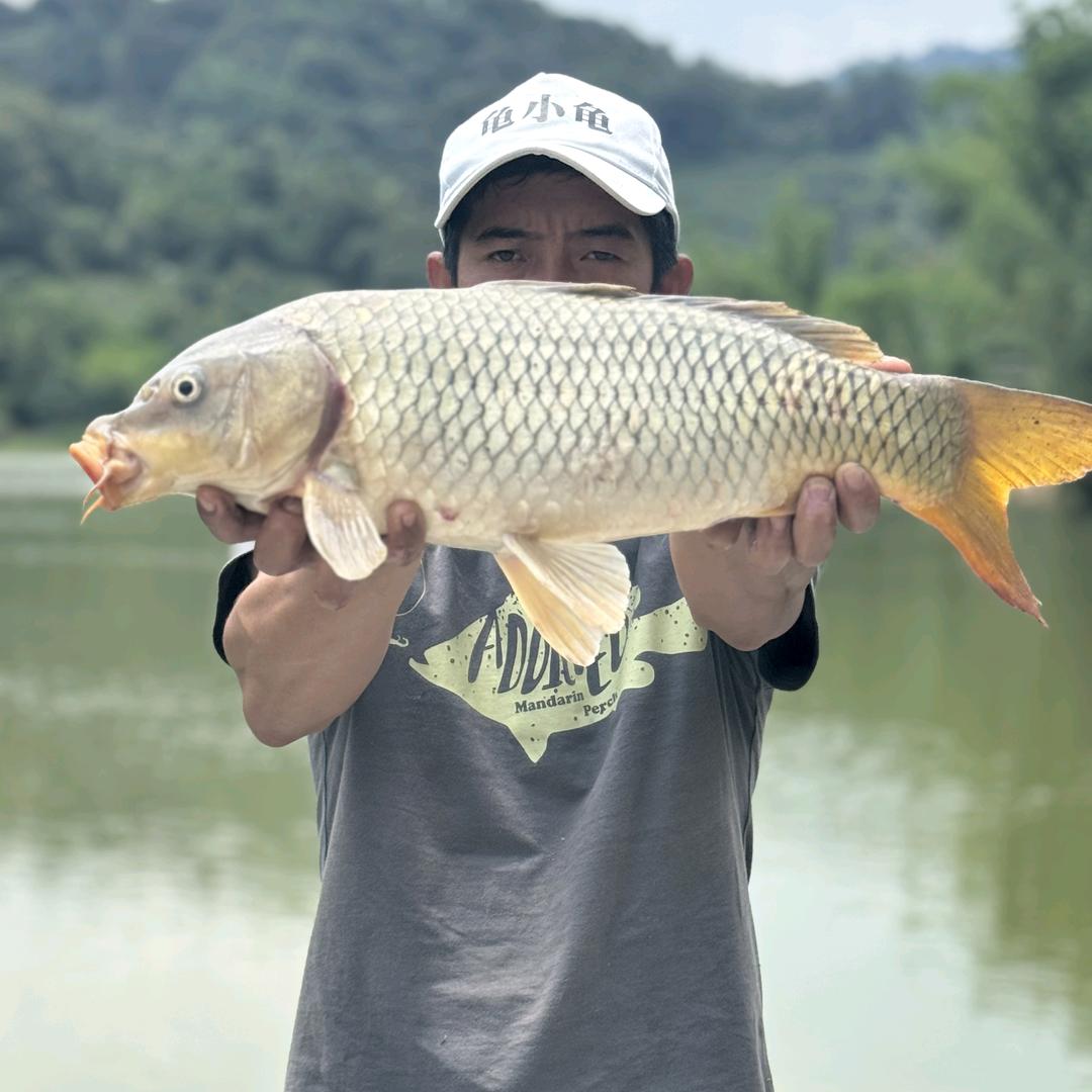 曼垒水库管理员（小归）🎣