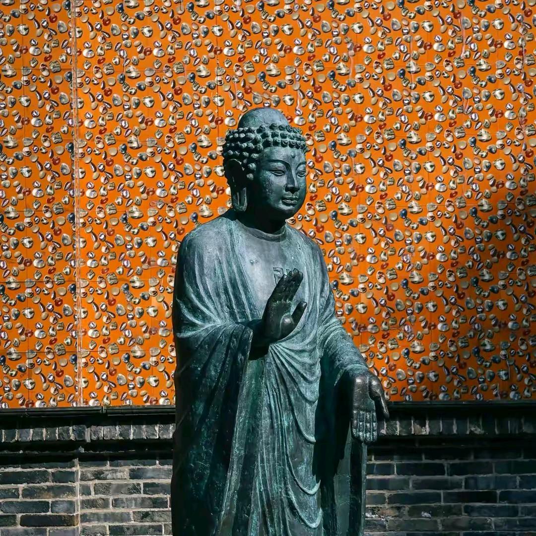 南山观奇的头像