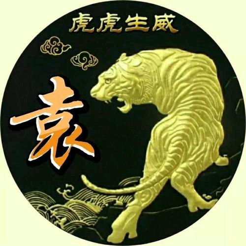 🐯🐯小虎🐯🐯007