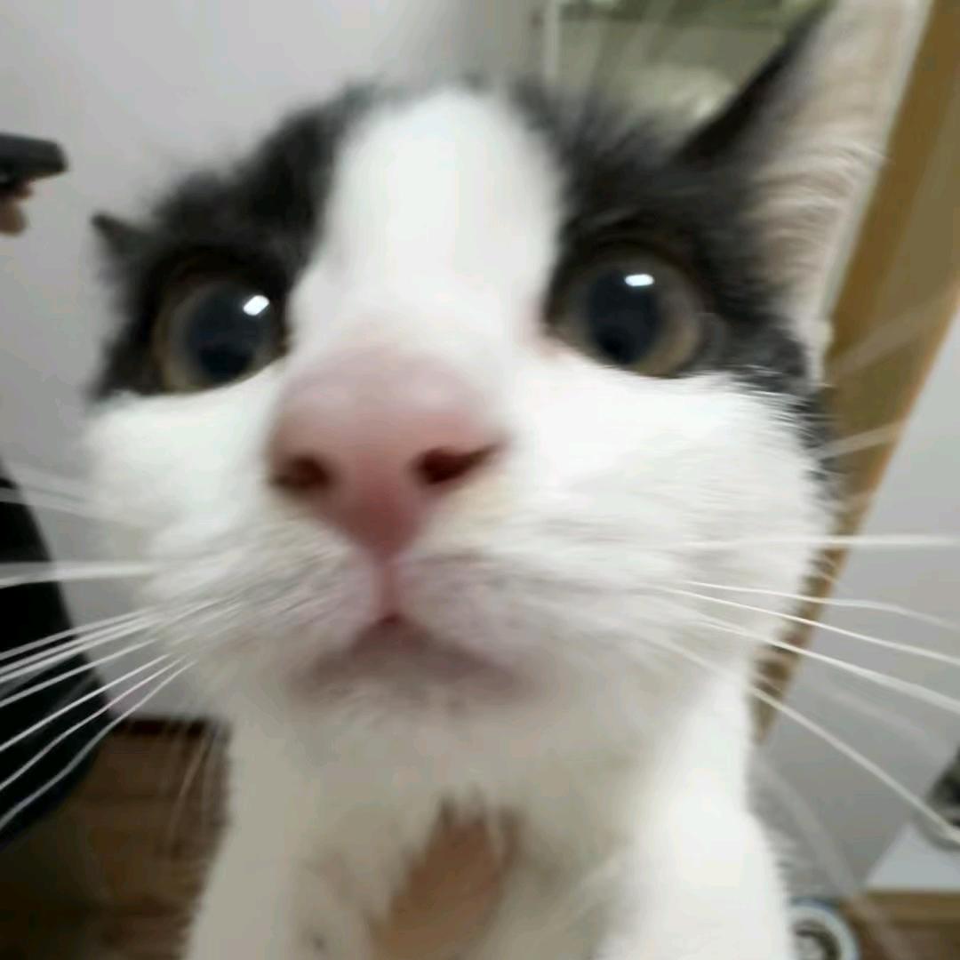 生活小白
