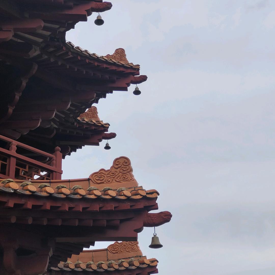时椒炒鱿