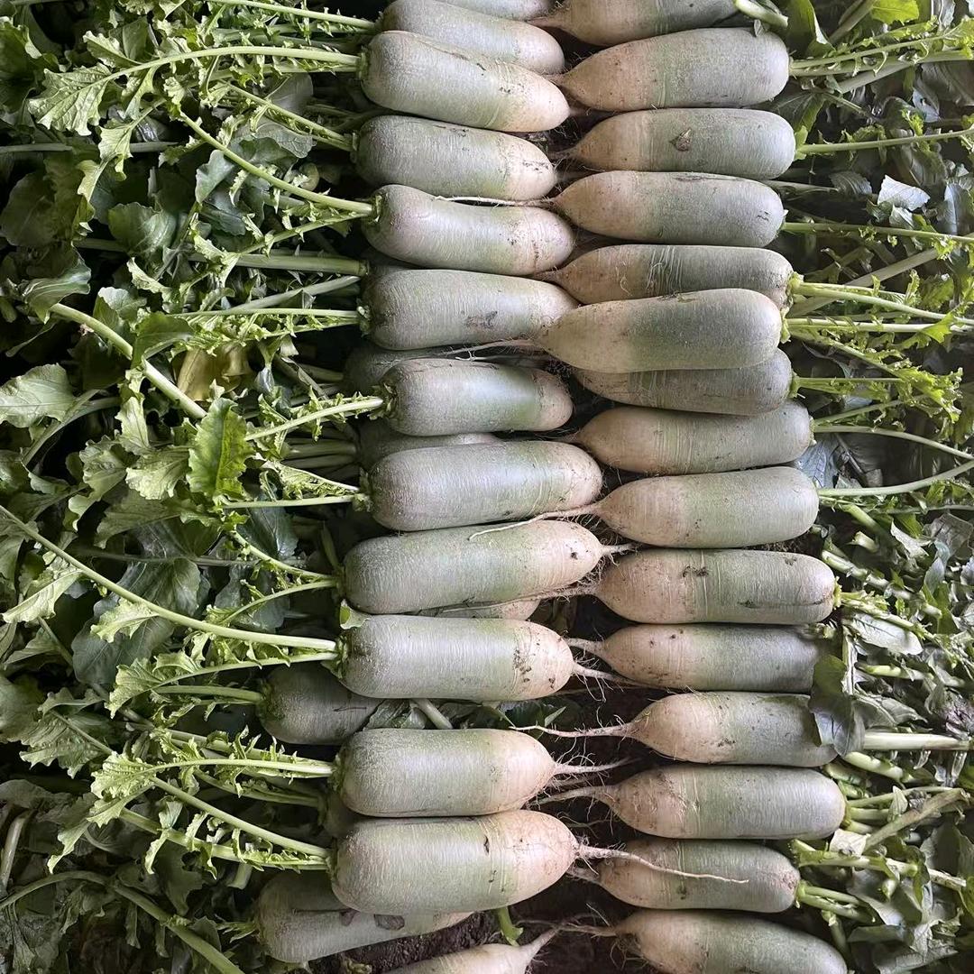 喜财新鲜蔬菜坊