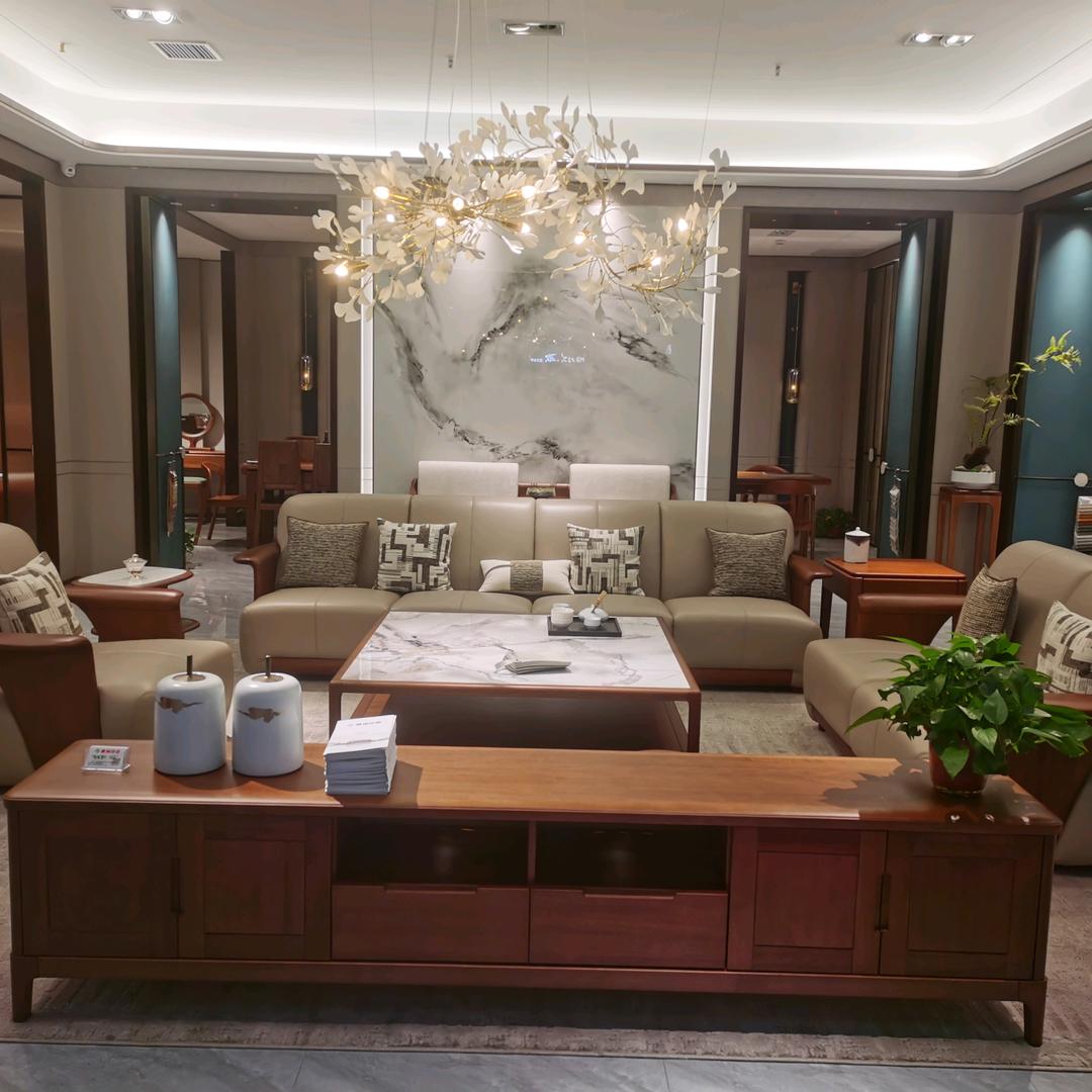 塞纳印象&全屋定制