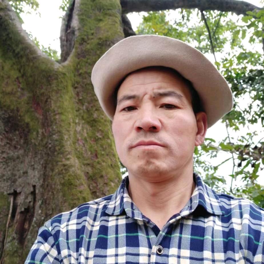 安来陪李