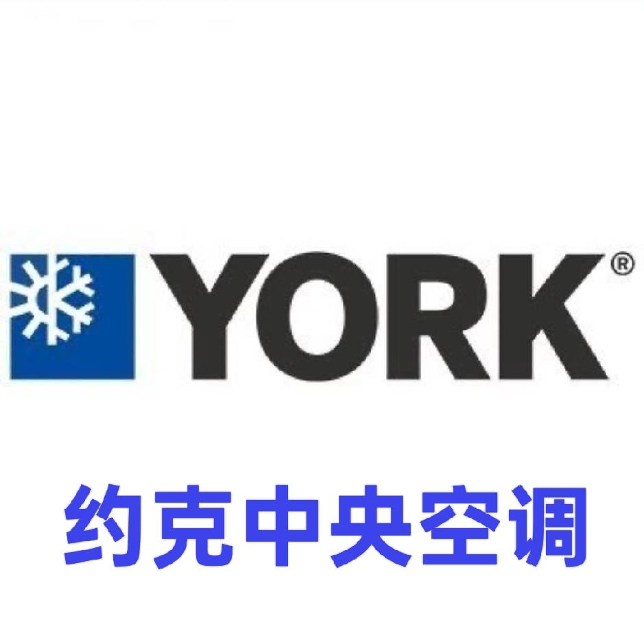 卖空气能的小姐姐