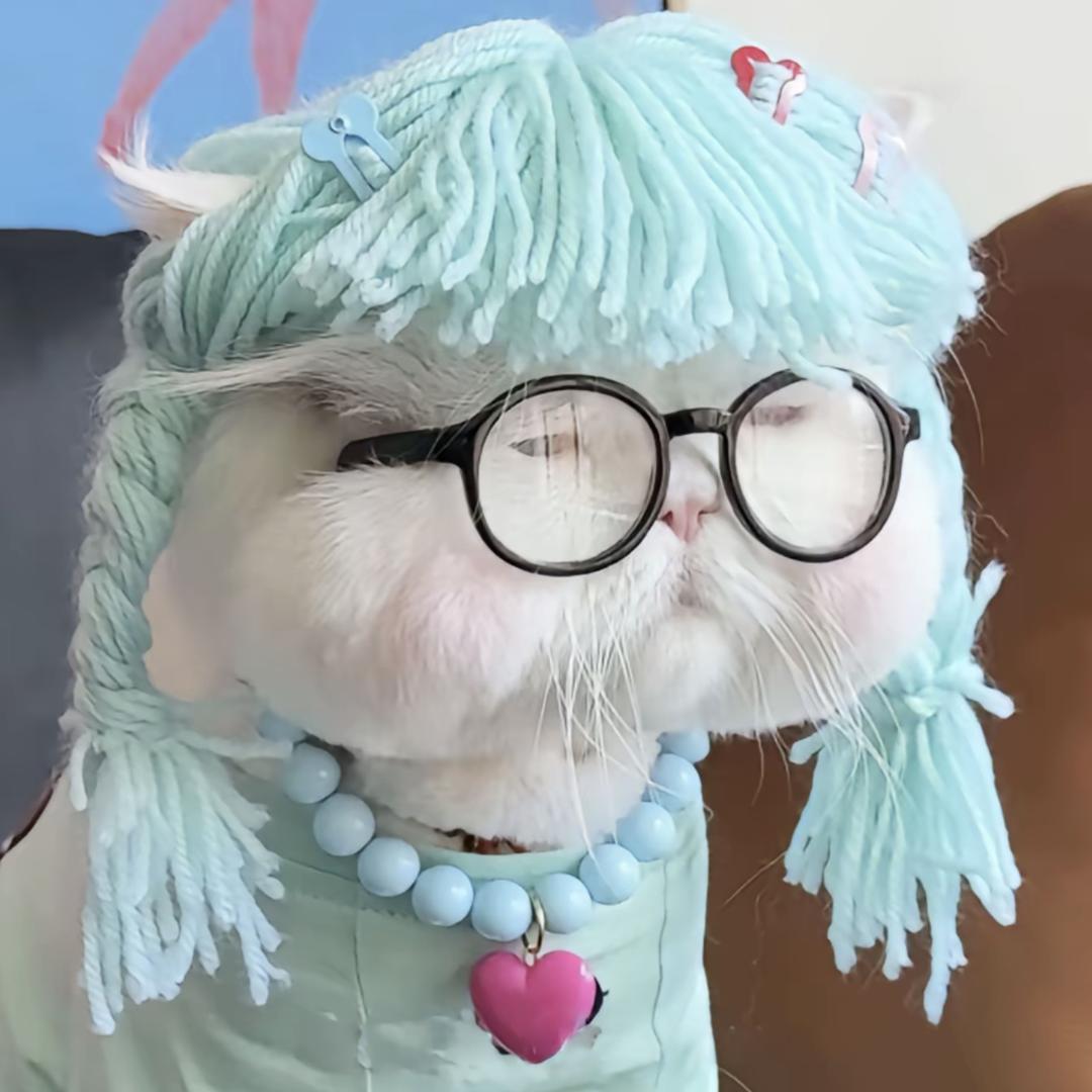 别再梦到逃婚了