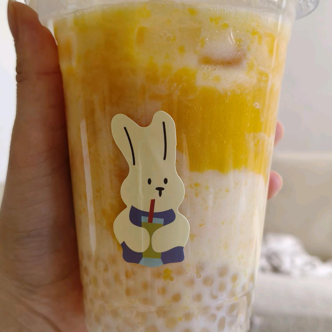 小杨爱生活