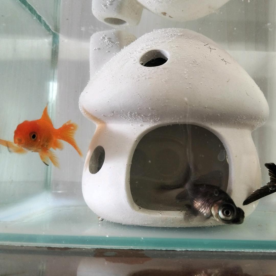 在栖霞做租赁的华华