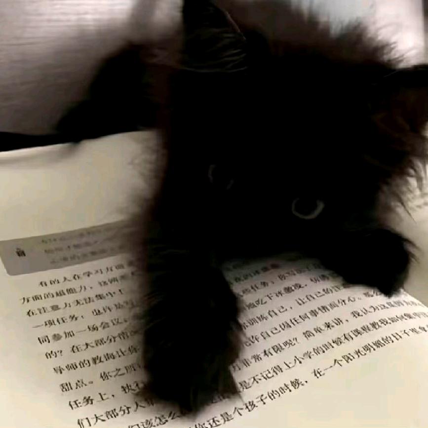 玫瑰赠予浪漫·