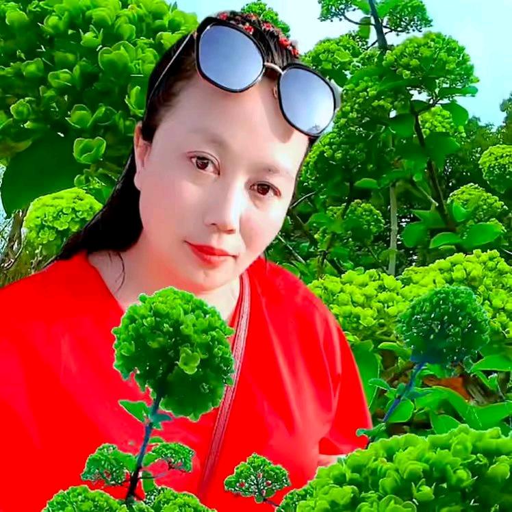 陶妹