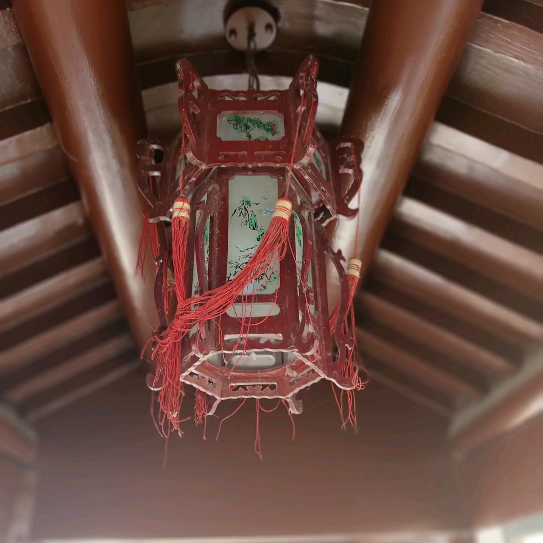 无惧尘埃