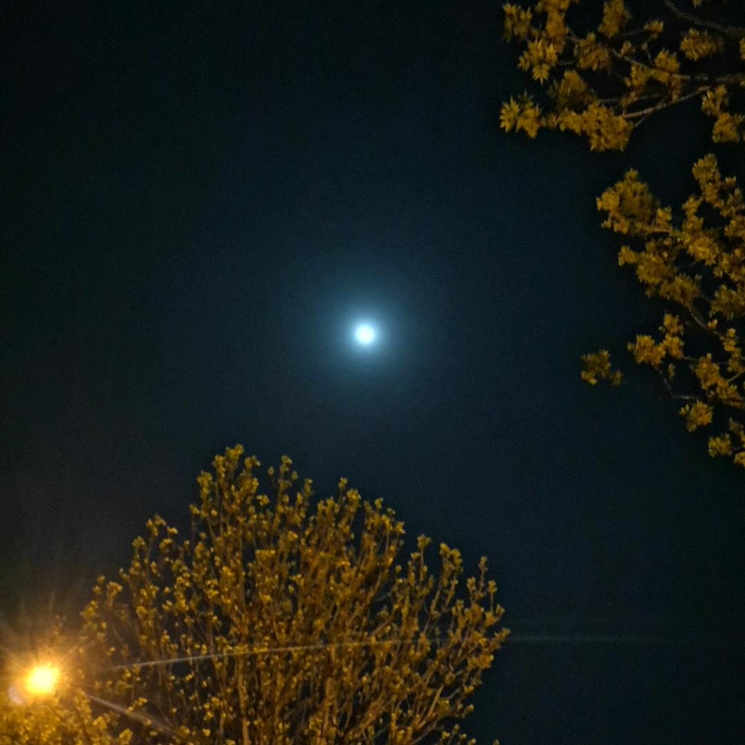 🌈☀華哥🎇ᕙʕ知呼也者ʔᕗ