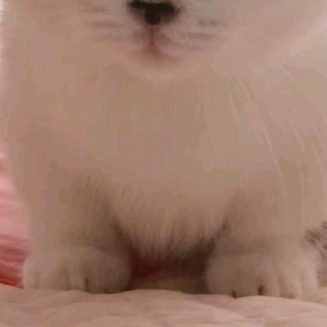 一淘