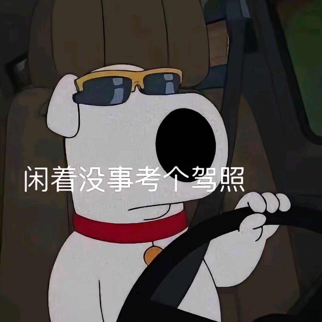 西安极速驾培  杨教练