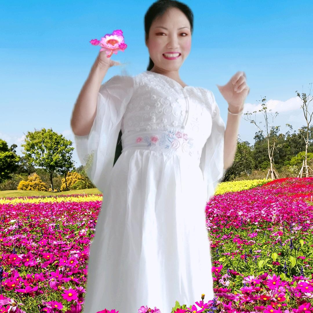 新梦缘