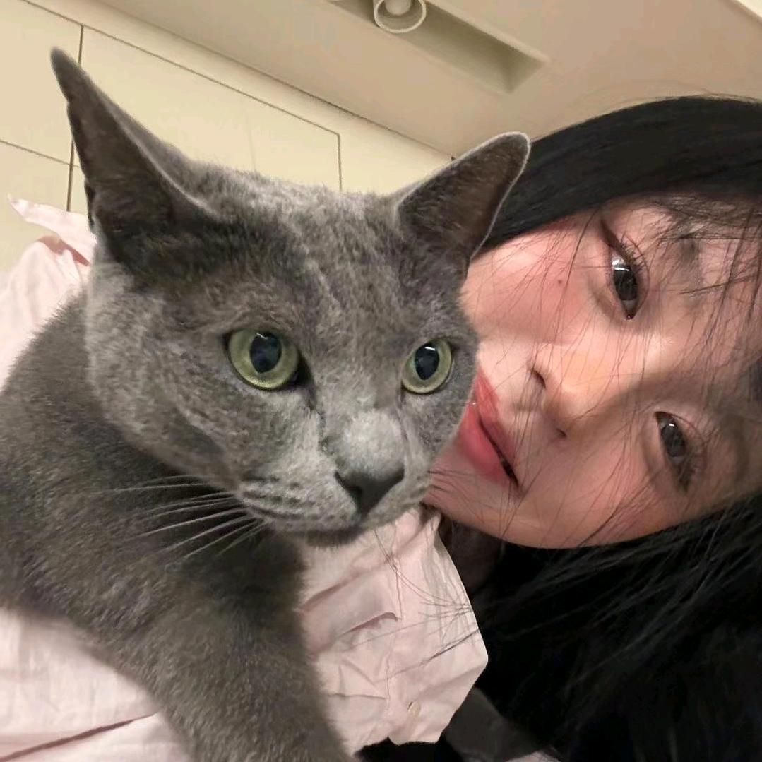 雪儿🐈‍⬛‧₊˚⋆♡̷