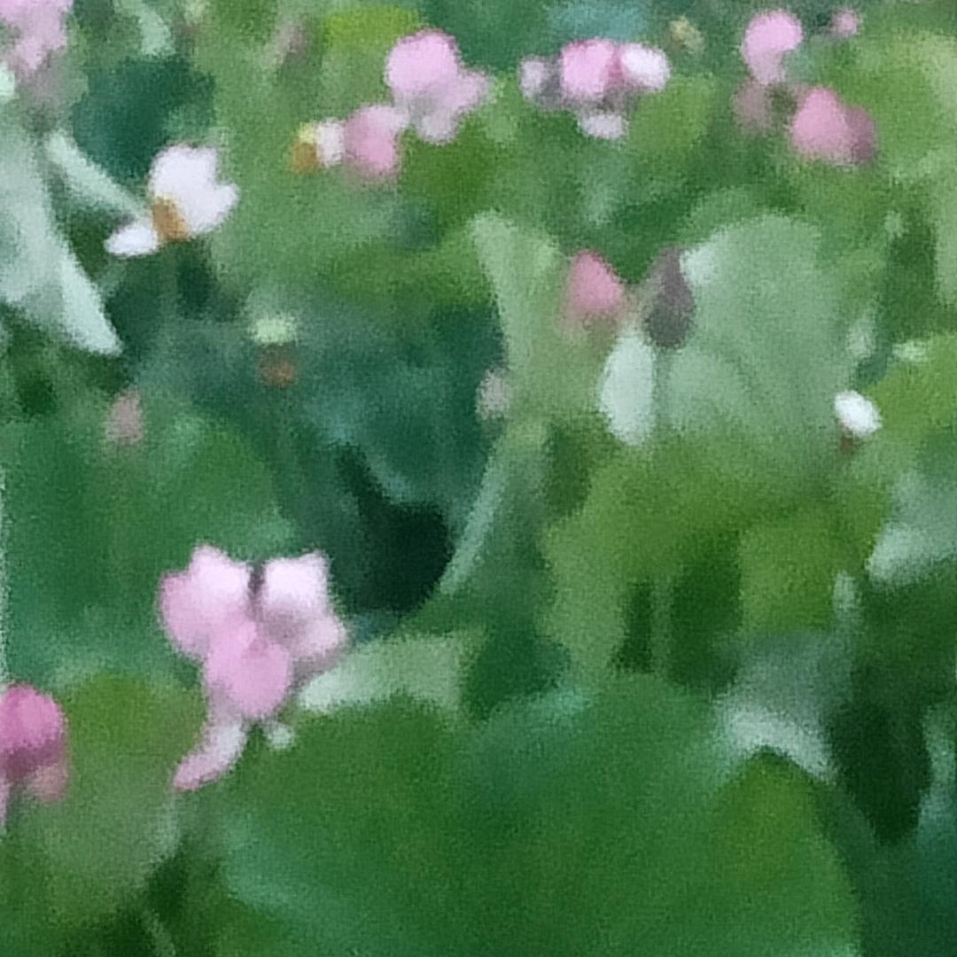 永远是朋友