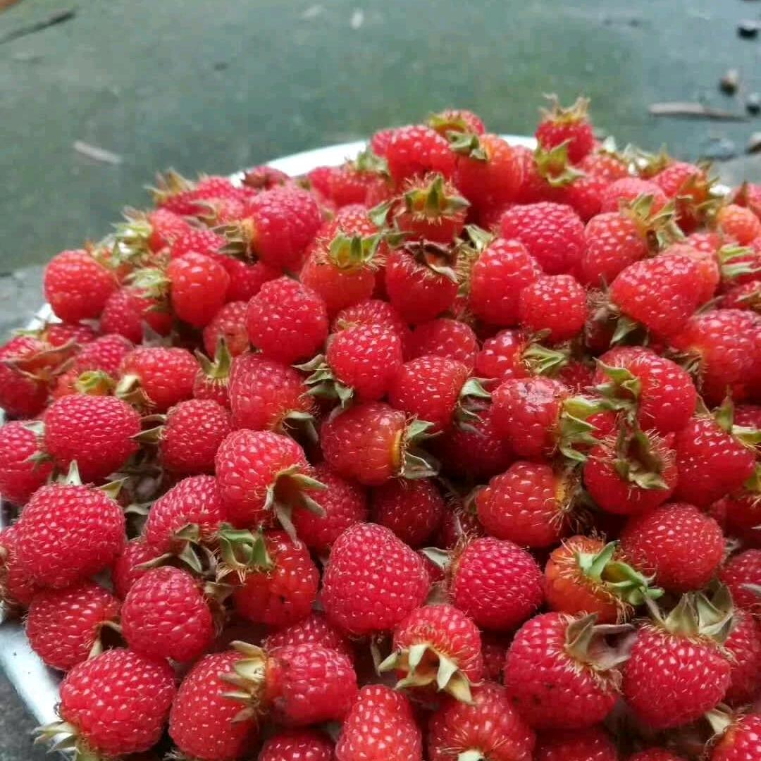 🚬᭄ℯ⃝螃蟹ღ᭄