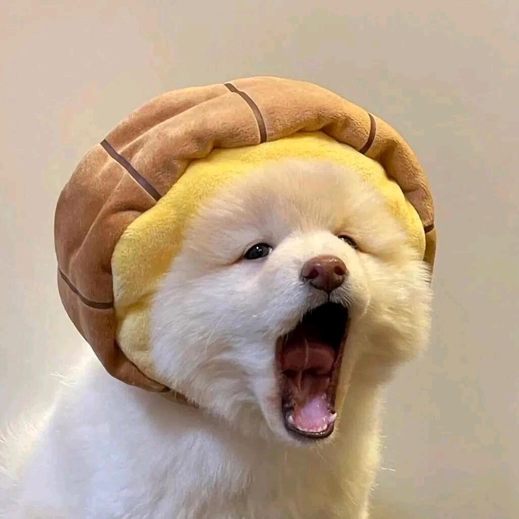 彭彭罐罐🧋