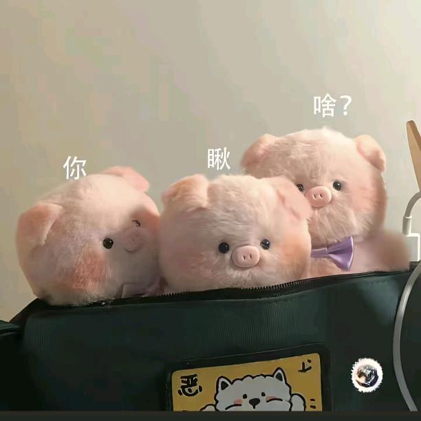 小爷