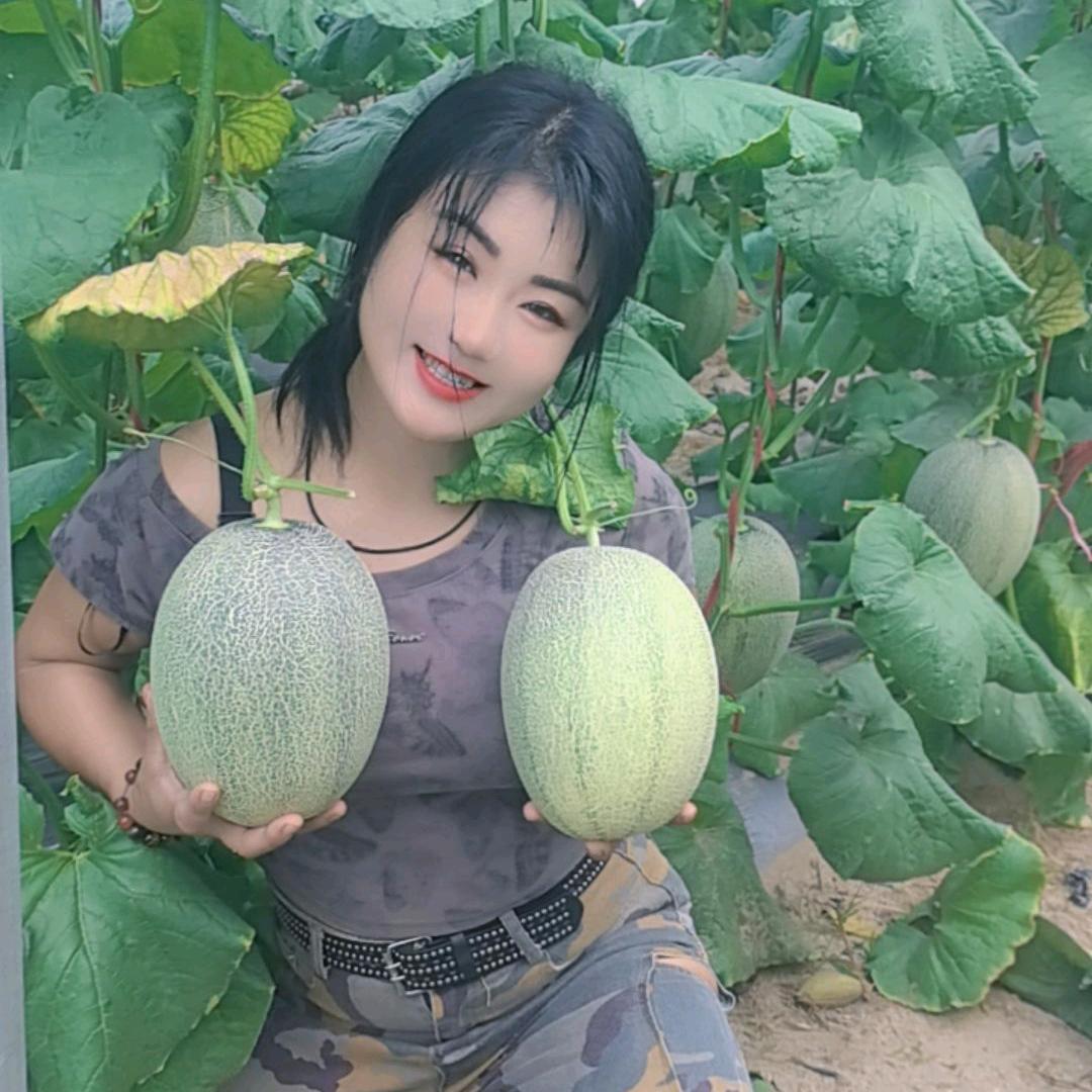 黑妹农资服务热线