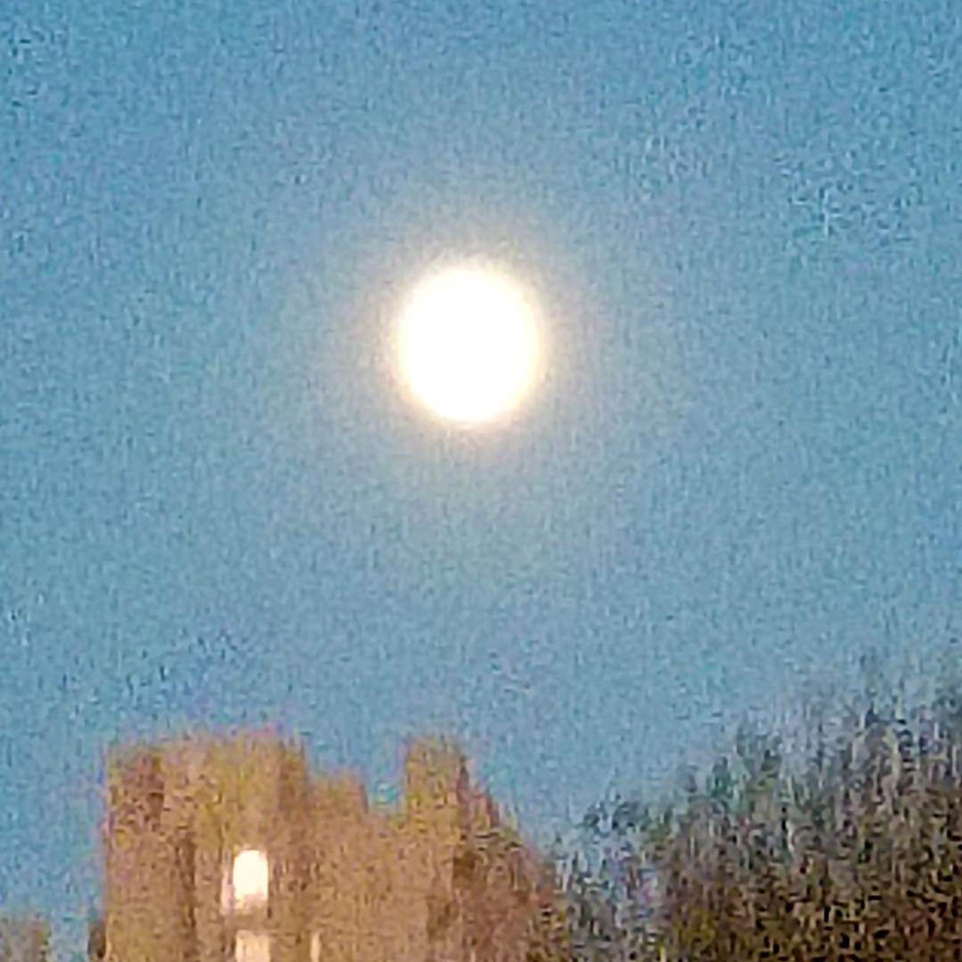 不留遗憾¹⁹⁹