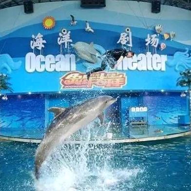 风露