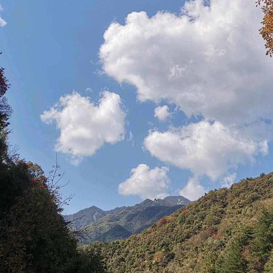 小李龙