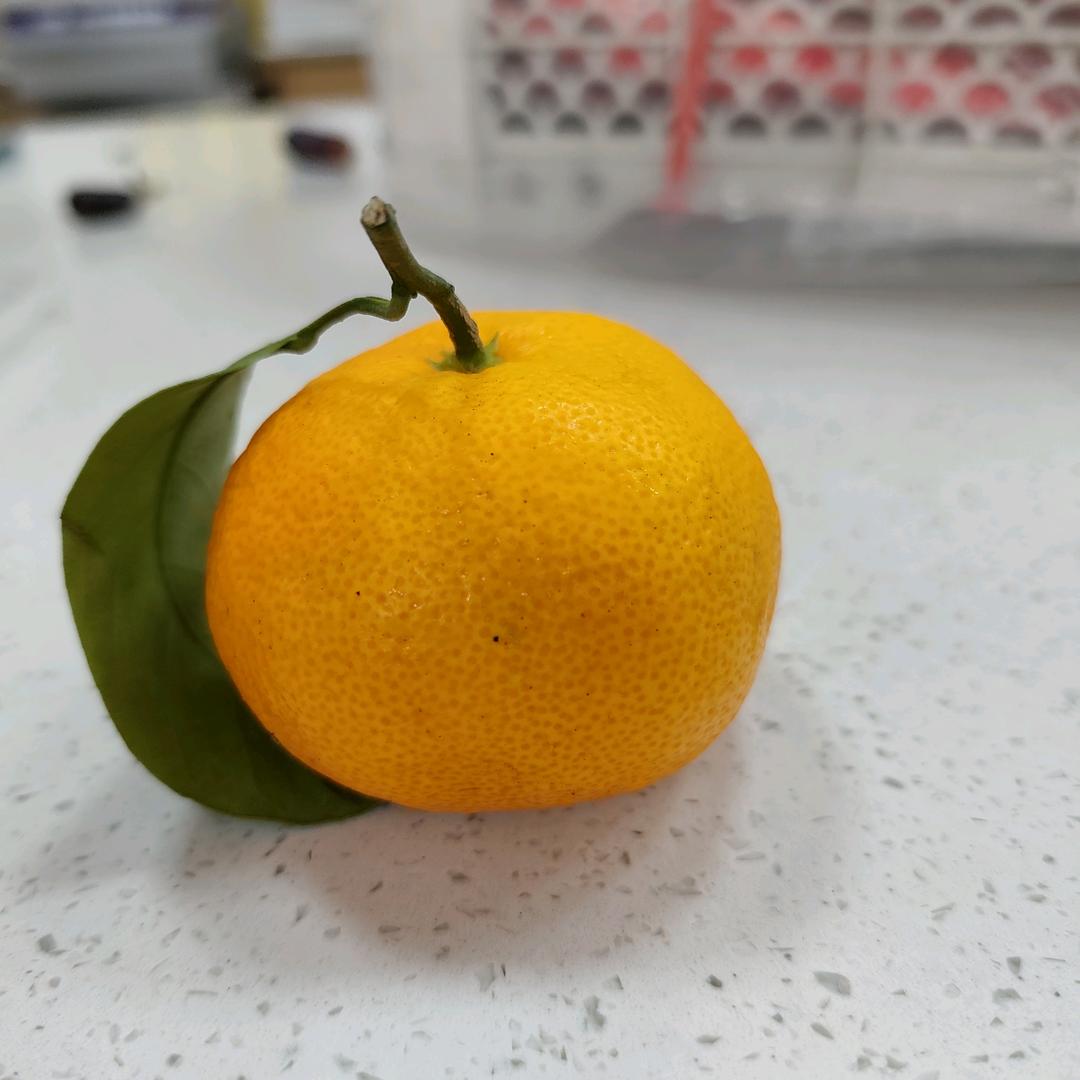 一颗很🍊的🍊