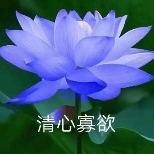 人生