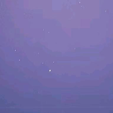 明明家的德文卷毛猫