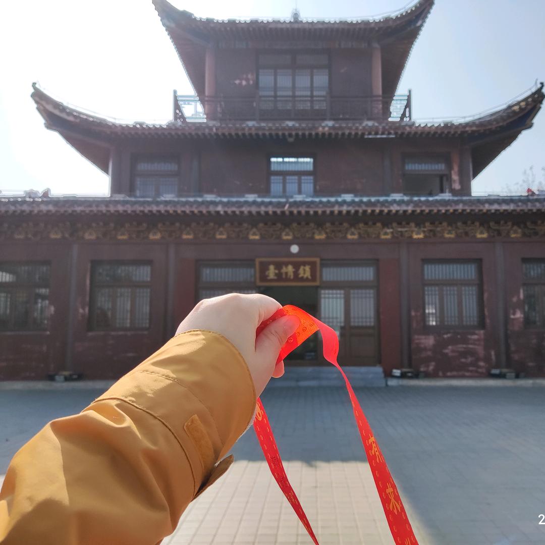 税务师汪老师