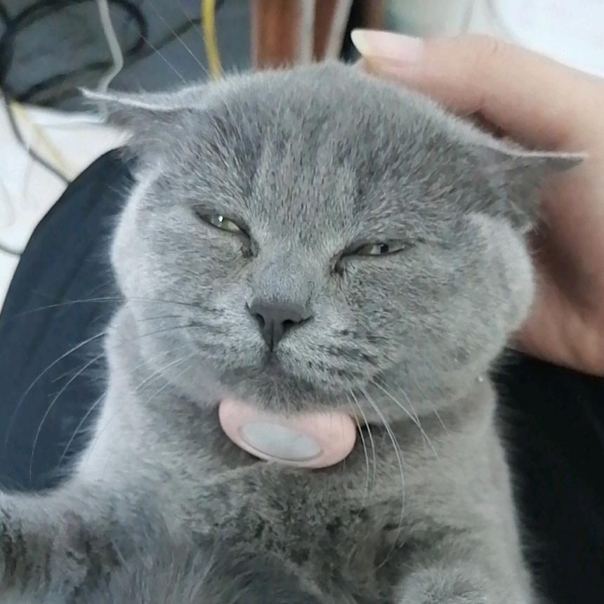 木三