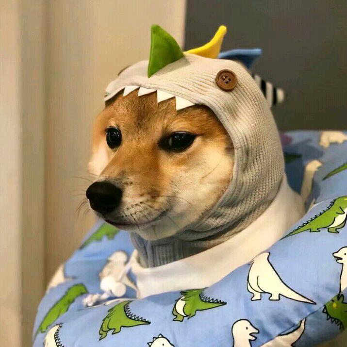鹊子
