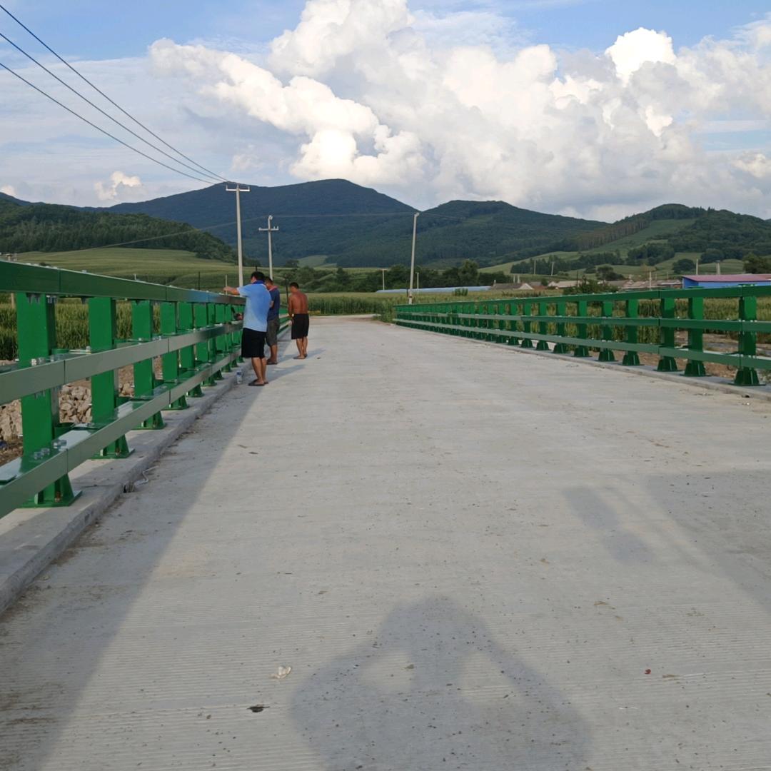 波形护栏.桥梁护栏.专业施工