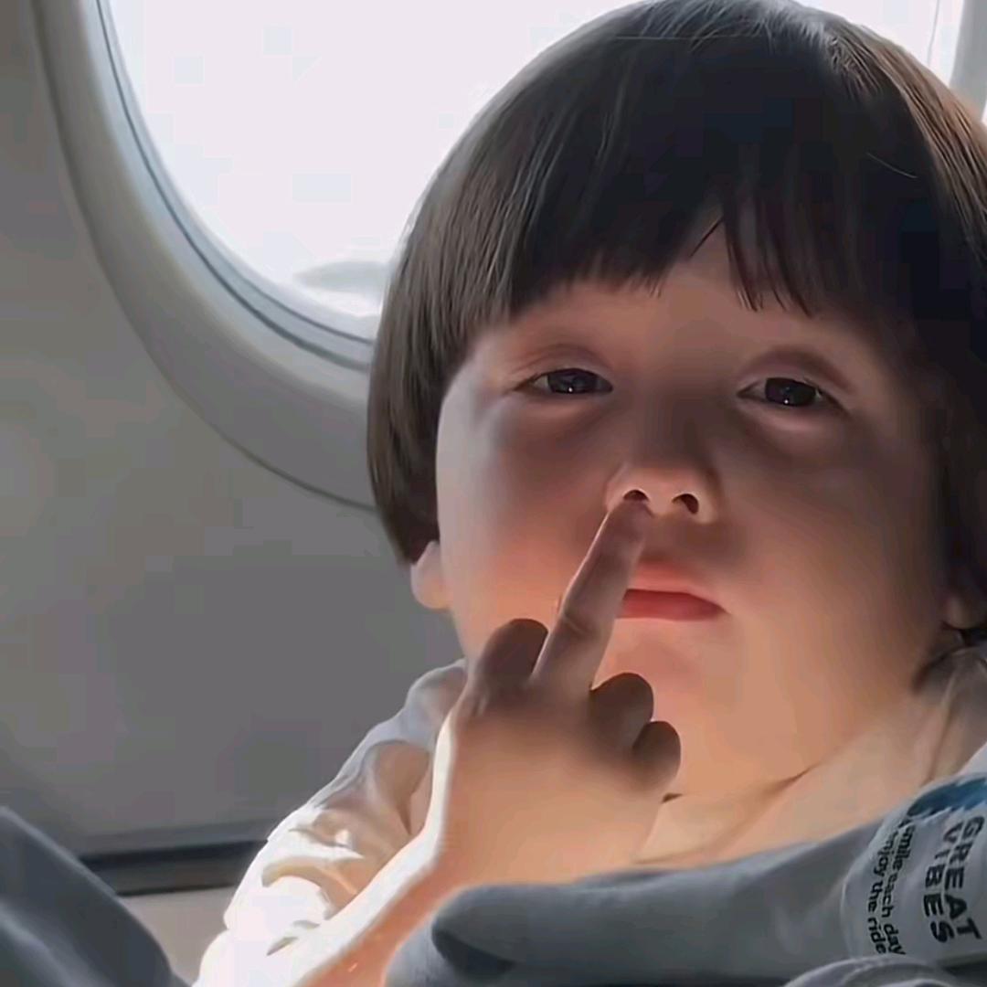 扶老蟑螂过马路被屎壳郎无证驾屎撞飞十公里