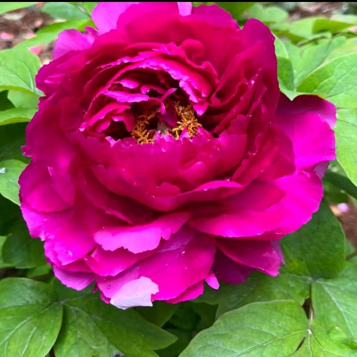 🦋ℒᎭℯ余生有你💖࿐💞