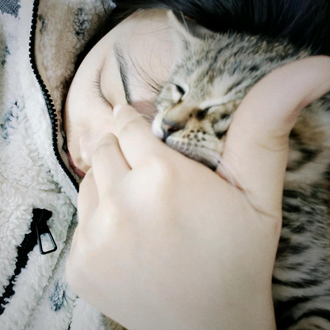 猫与海苔❀