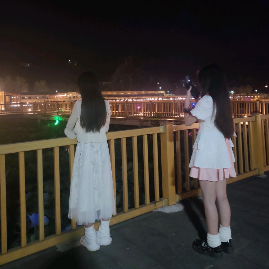 梅花三弄
