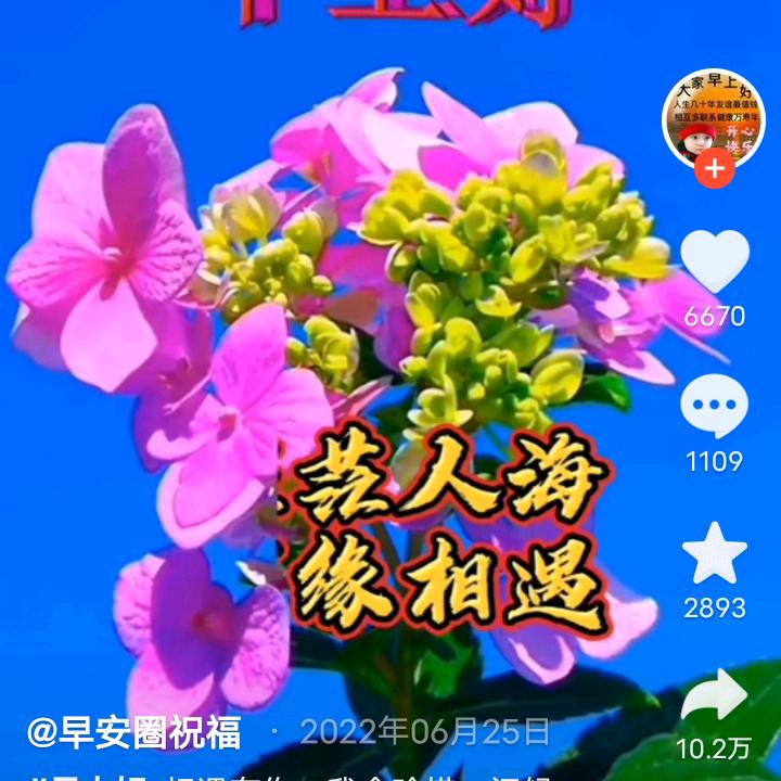 梦醒心亦碎