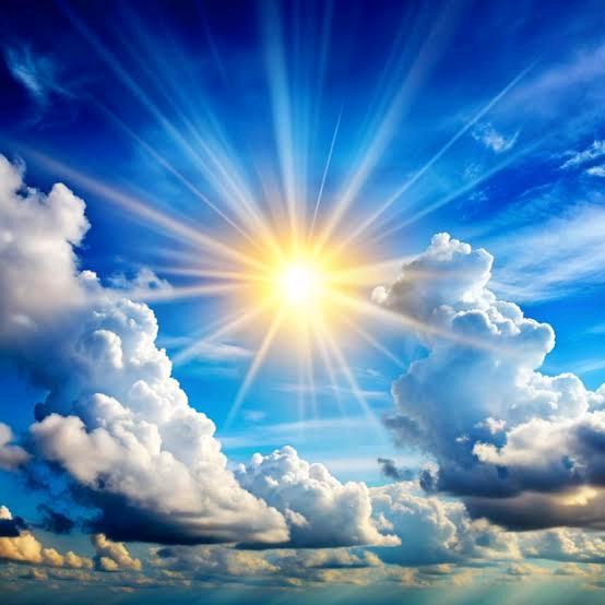 鱼仔🐟「是一首歌」🎼