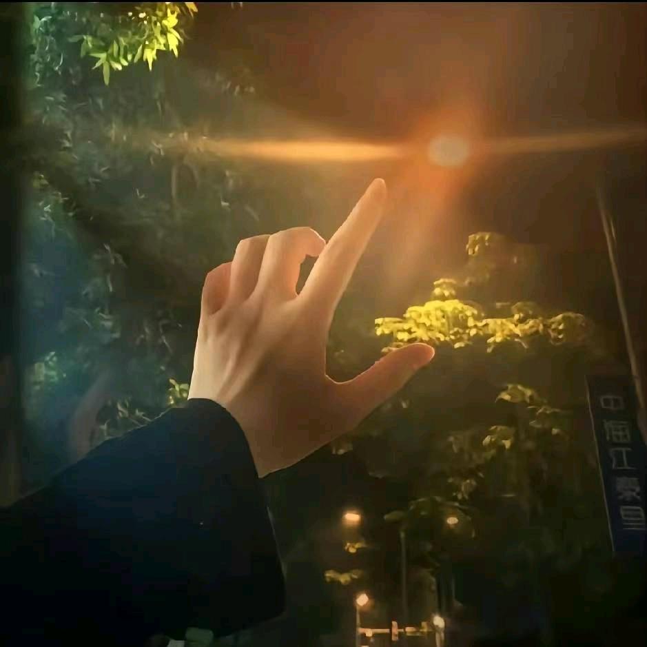 小龙卢