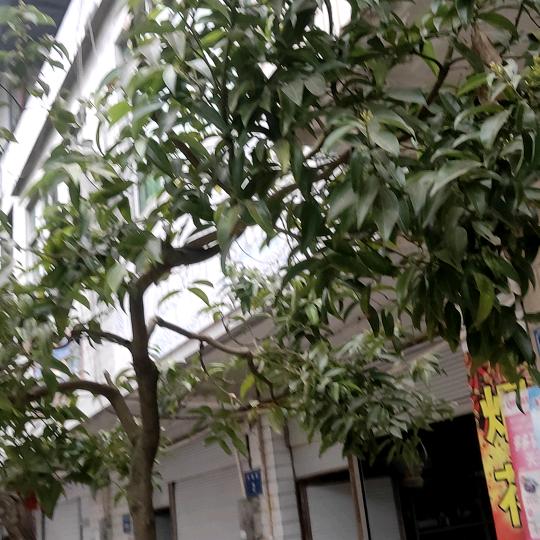 陕西勇往直前建筑劳务有限公司