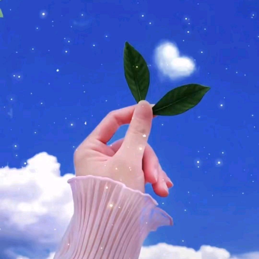 阿娇
