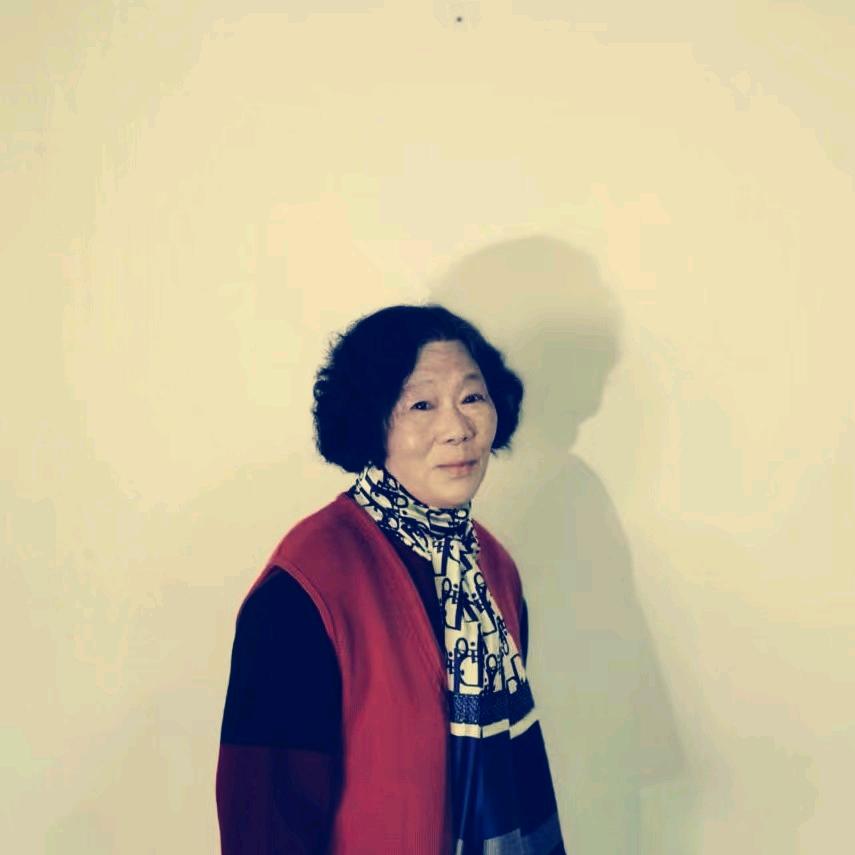 琴老太