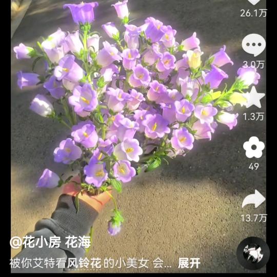 请你送我花😉